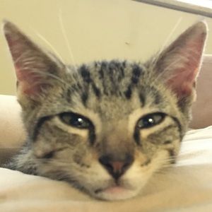 Meet your Posher, Stacey